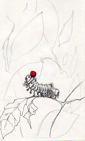 Butoh Catepillar Jpg